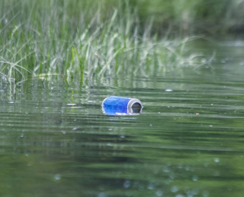 Drinking untreated freshwater can lead to waterborne illness, like Giardia.